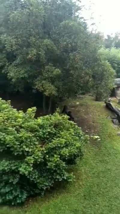 Running for cover from rain