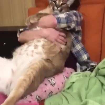 floopa y love, floopa y life