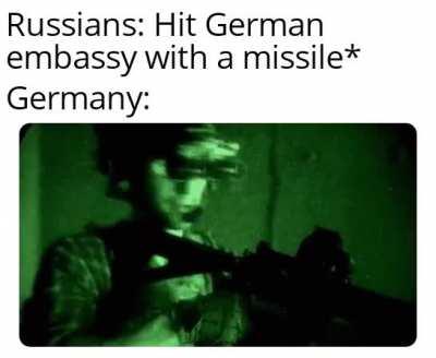 INTO THE MOTHERLAND THE GERMAN ARMY MARCH