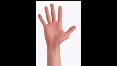 Cute little Darjeeling pet meme because I luv Darjeeling!!!