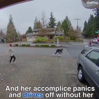 Package stealing thief got caught and her ankle got crushed by a car.