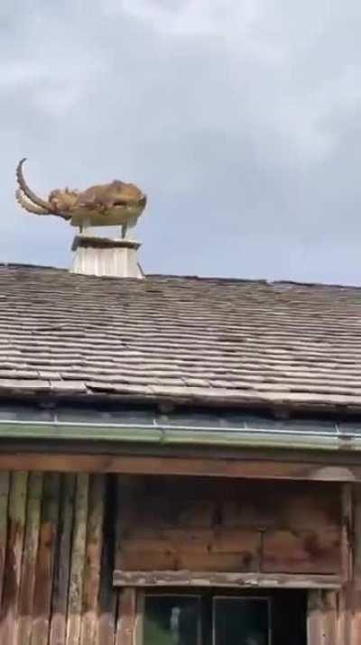 A break from politics: