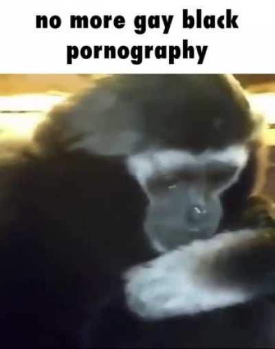 How we thought when the original r/thugsauces was banned