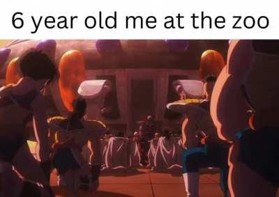 i like monkey they are funny AF