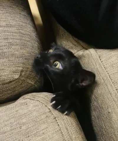 Вы кто такие?