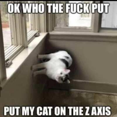 I've become so bored in quarantine, I've started voicing memes