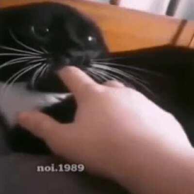 When you're sex repulsed but you still want to feel wanted