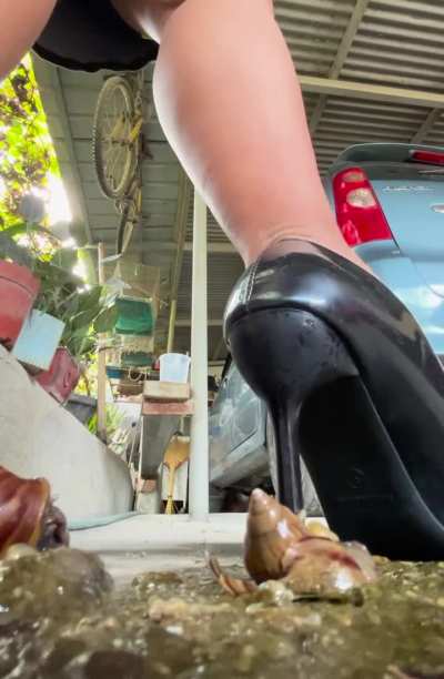 Trying a new technique with these snails 🥰🥰🥰 6min clip available 😘