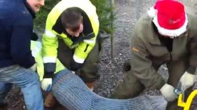 WoOd ChIppEr pRaNk gOne WrOnG R.I.P.