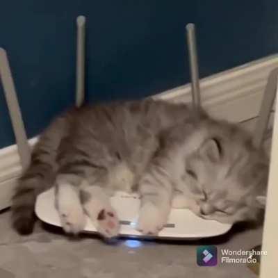 Why the WiFi network slow