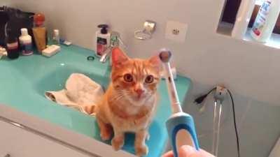 I believe the intent was a teeth cleaning :)