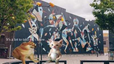 Miguel's change of life