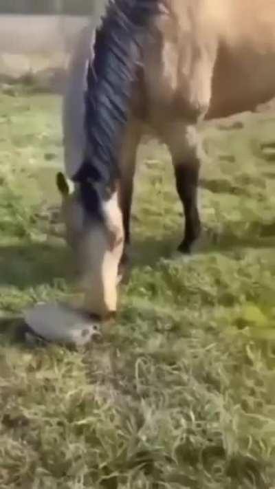 His soul left his body