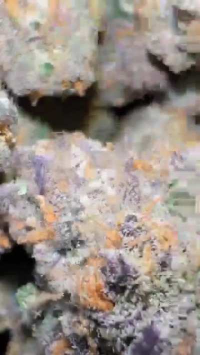 Island Smoothie 🏝️