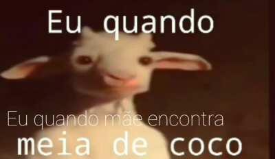 Sorte que ela ainda nao encotrar meia de pipi 😨