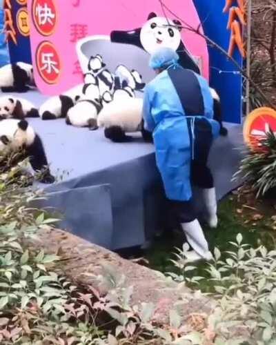 I present to you the Jeannie clan