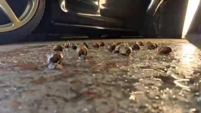 I have vids of women crushing in sneakers and boots, just message me if you’re interested.