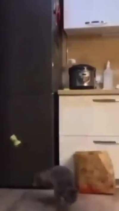 Yoooooooo he got some sick moves..!