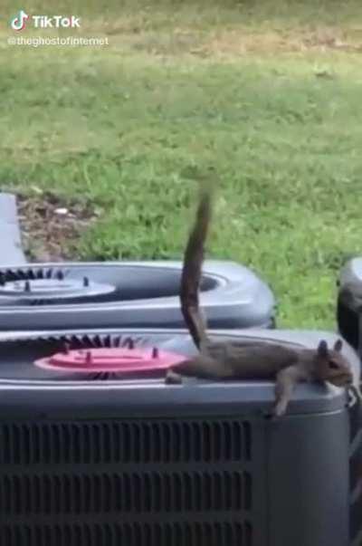 Mano isso tem que ser fake mano a não kkkkkkkk