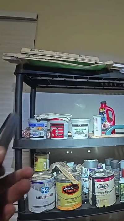 A Western Diamondback Rattlesnake surprises me up on a shelf in the garage