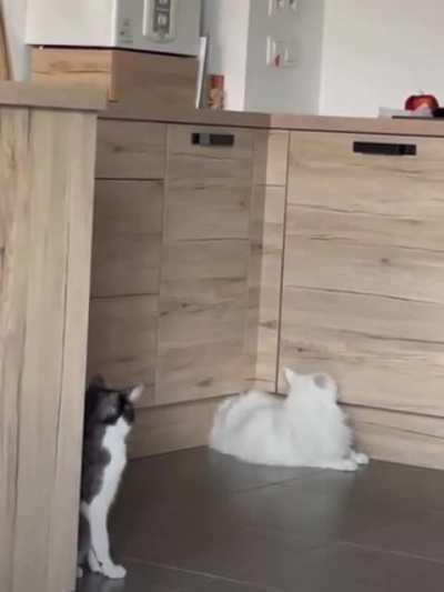 Water is leaking through the cabinet