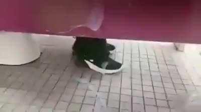 I woulda lost my shit