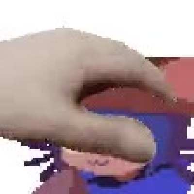 If Niko isn't a cat, then why do they purr when I pet them?