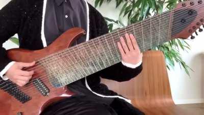 Guitarist playing a 14 string guitar