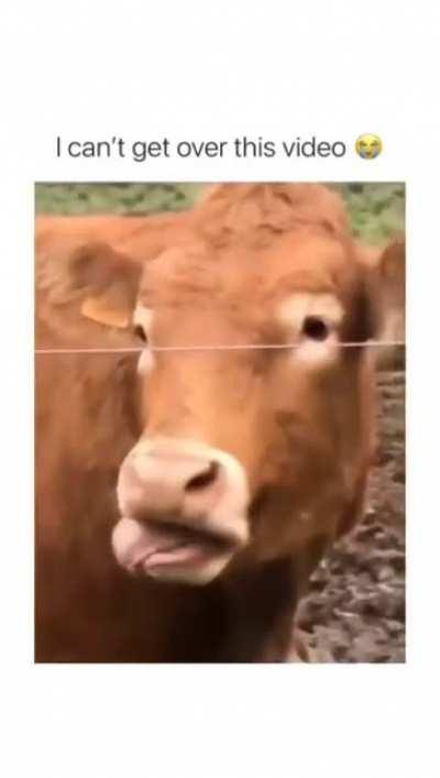 What The Fuck He Is Doing?