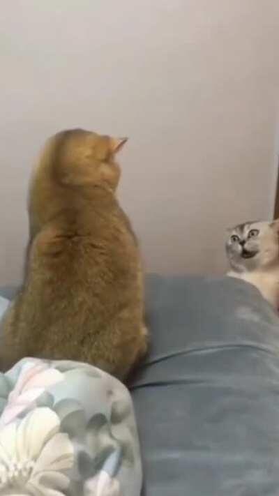 I’m sure it’s possessed