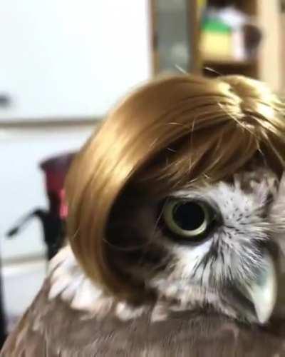 She is a head turner