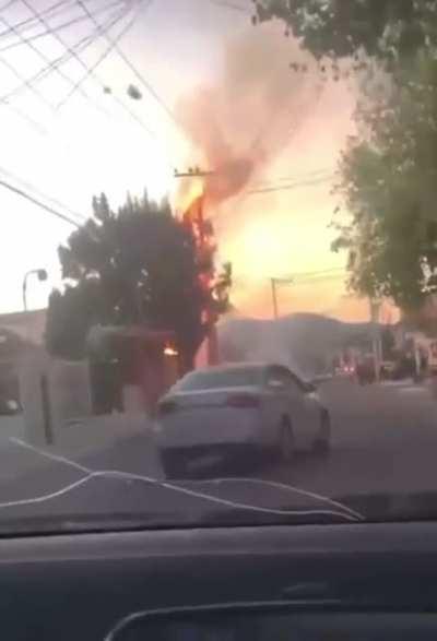 Perfect timing scream