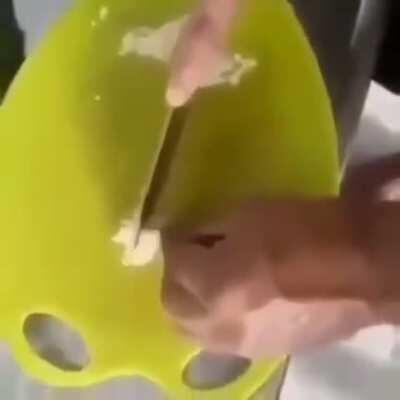 Mas eu não gosto de alho :(