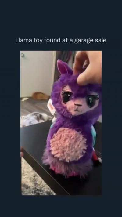 Llama detonator , attracts enemies and explodes when interacted , 100m range