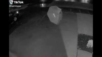 Побежали побежали..