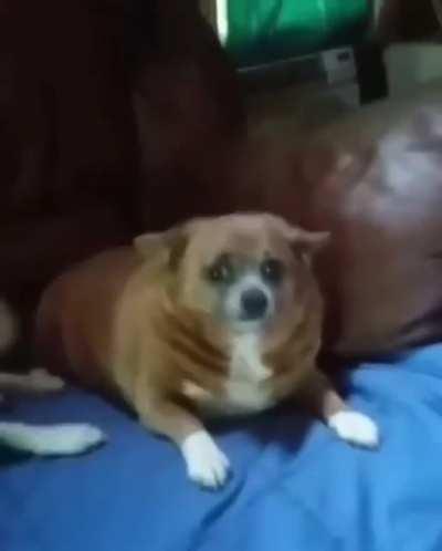 Sausage roll shaped twat!