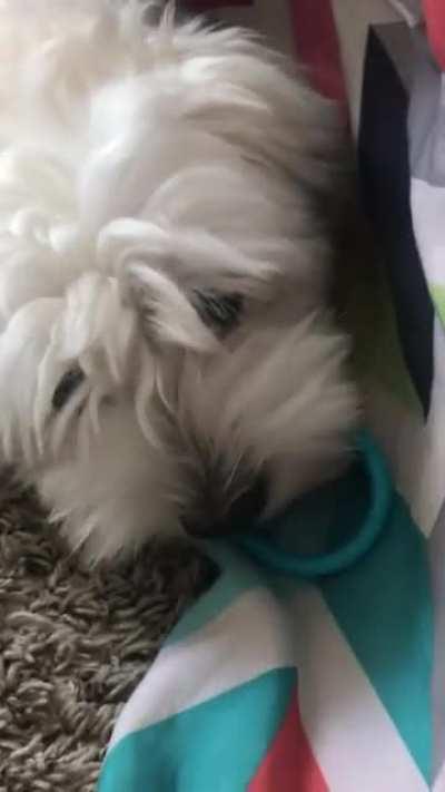 Bro. This actually made me flinch a bit