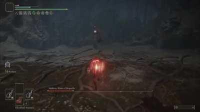 I never expected whips to be this effective against Malenia. They interrupt most of her moves it's hilarious. If you have trouble with her, try whipping her