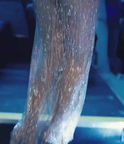 Hailee Steinfeld's incredible body