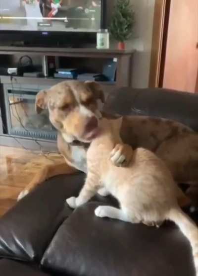 When your intrusive thoughts win