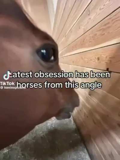 Why do they look like that