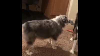 I made this and really wanted someone else to see it lol it’s so funny to me