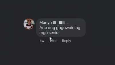 'Senior' Photo Editor