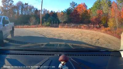 [OC] To his credit, he gave me the wave of shame.