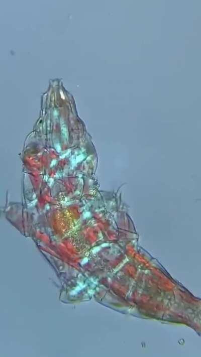 Dance with him. 🤩🤩🤩🤩🤩😂😂😂😂😂😂