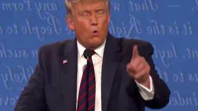 פוליטיקת בורקס