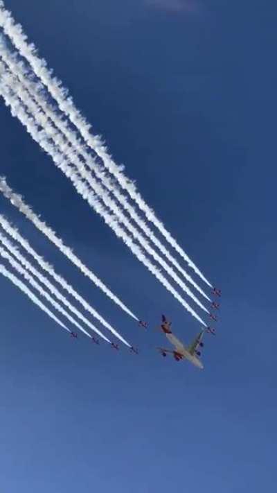 Mother jet and her jittens