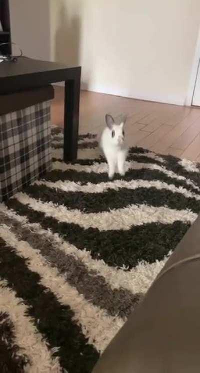 You can fly, you can fly, you can... oh crap. She’s been watching to many Disney movies 😂