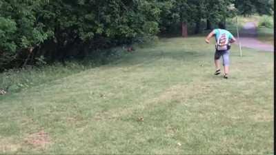 Worried about people not returning lost discs? We have bigger problems in Quebec