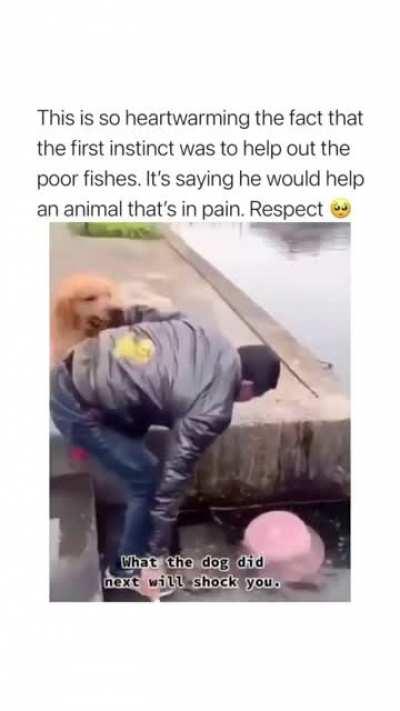 It’s cliché... But I swear we don’t deserve dogs 😊